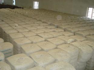 印度皮棉V797 全球农副产品市场的重要品种