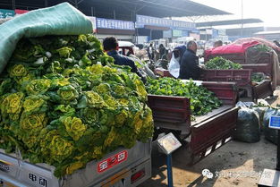 时代脉搏上的“菜篮子”——我眼中的咸阳新阳光西北农副产品交易中心