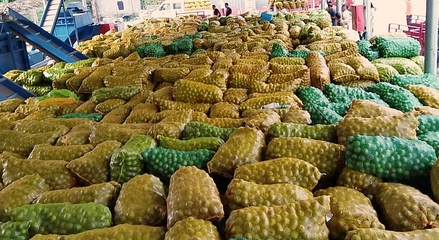 黄龙 探索农副产品“链式发展”，激活产业“聚变效应”