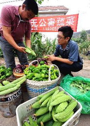 国庆期间农副产品供应充足，市场价格总体稳定