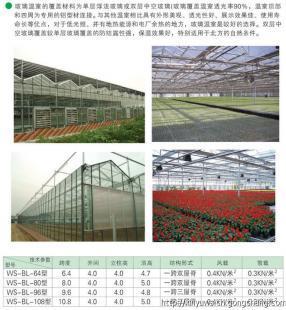 鑫钰温室工程 专业建设智能温室大棚，引领现代农业发展